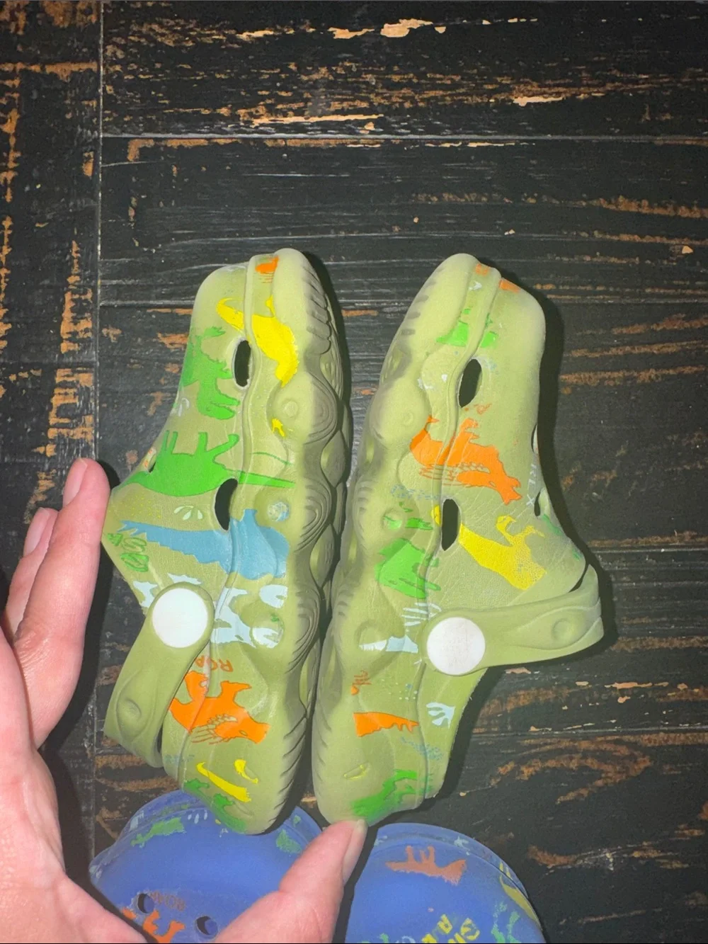 Kids' Dinosaur Clog Shoes - Green and Blue